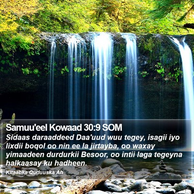 Samuu'eel Kowaad 30:9 SOM Bible Verse Image
