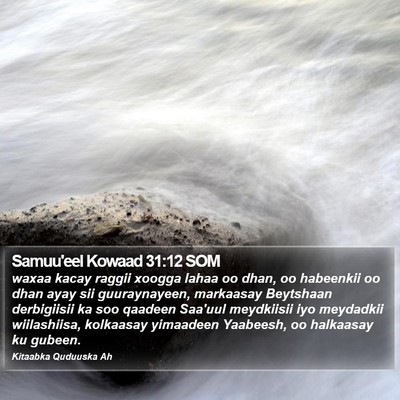 Samuu'eel Kowaad 31:12 SOM Bible Verse Image