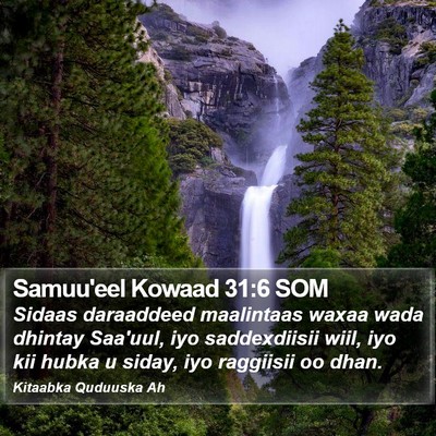 Samuu'eel Kowaad 31:6 SOM Bible Verse Image