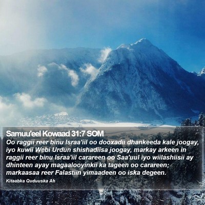 Samuu'eel Kowaad 31:7 SOM Bible Verse Image