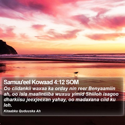 Samuu'eel Kowaad 4:12 SOM Bible Verse Image