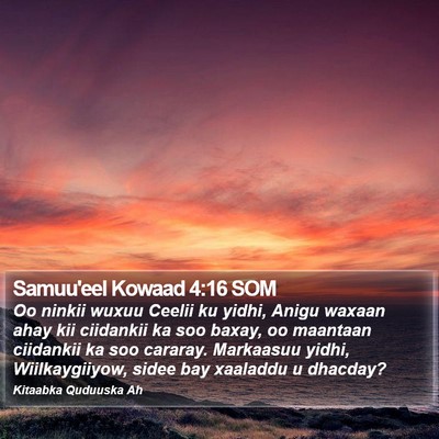 Samuu'eel Kowaad 4:16 SOM Bible Verse Image