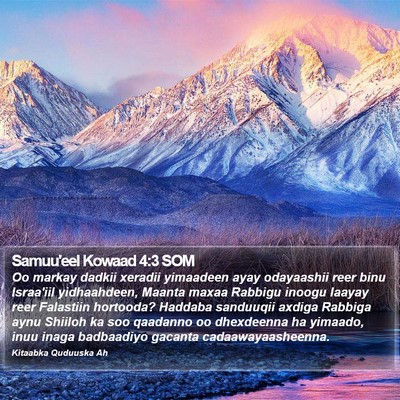 Samuu'eel Kowaad 4:3 SOM Bible Verse Image