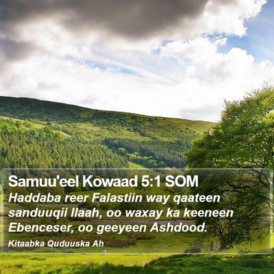 Samuu'eel Kowaad 5:1 SOM Bible Verse Image