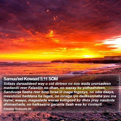 Samuu'eel Kowaad 5:11 SOM Bible Verse Image
