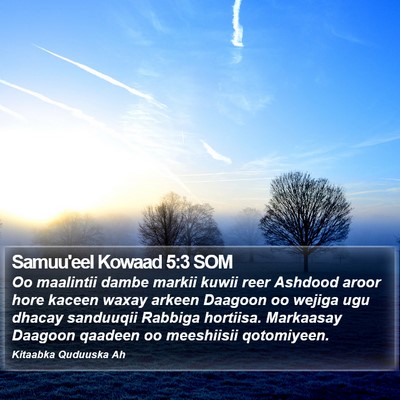 Samuu'eel Kowaad 5:3 SOM Bible Verse Image