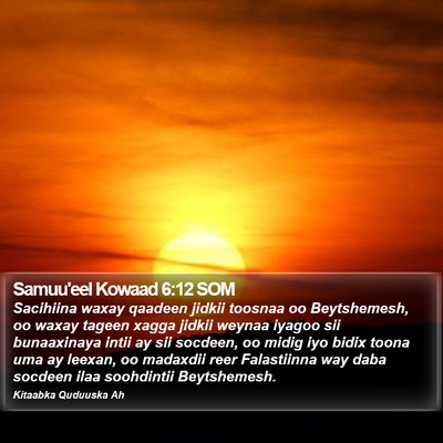 Samuu'eel Kowaad 6:12 SOM Bible Verse Image