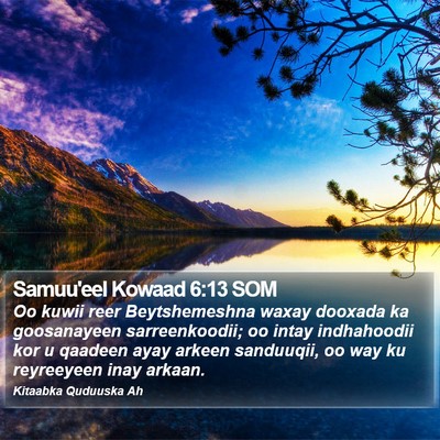 Samuu'eel Kowaad 6:13 SOM Bible Verse Image