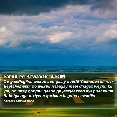 Samuu'eel Kowaad 6:14 SOM Bible Verse Image