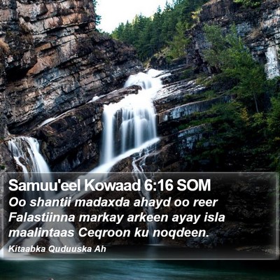 Samuu'eel Kowaad 6:16 SOM Bible Verse Image
