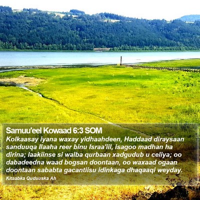 Samuu'eel Kowaad 6:3 SOM Bible Verse Image