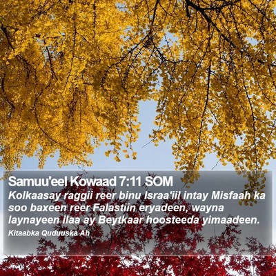Samuu'eel Kowaad 7:11 SOM Bible Verse Image