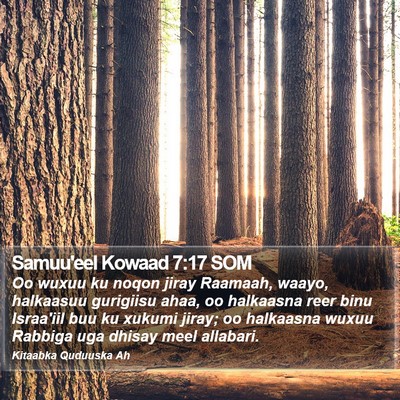 Samuu'eel Kowaad 7:17 SOM Bible Verse Image