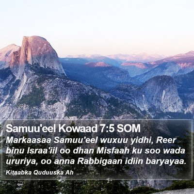 Samuu'eel Kowaad 7:5 SOM Bible Verse Image