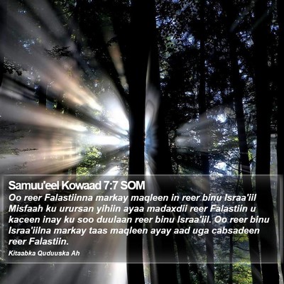 Samuu'eel Kowaad 7:7 SOM Bible Verse Image