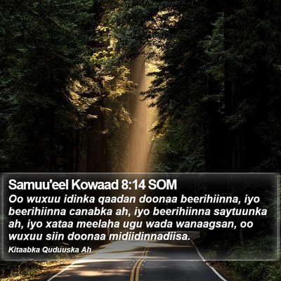 Samuu'eel Kowaad 8:14 SOM Bible Verse Image