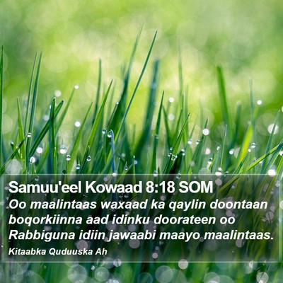 Samuu'eel Kowaad 8:18 SOM Bible Verse Image