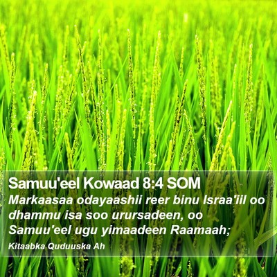 Samuu'eel Kowaad 8:4 SOM Bible Verse Image
