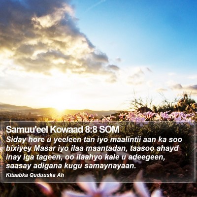 Samuu'eel Kowaad 8:8 SOM Bible Verse Image