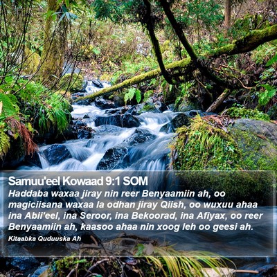Samuu'eel Kowaad 9:1 SOM Bible Verse Image