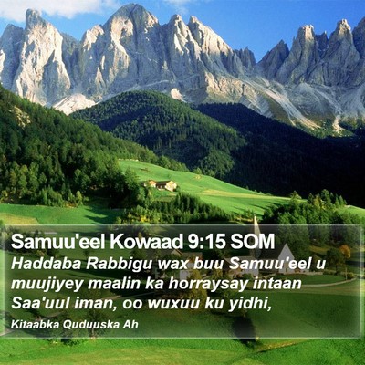 Samuu'eel Kowaad 9:15 SOM Bible Verse Image