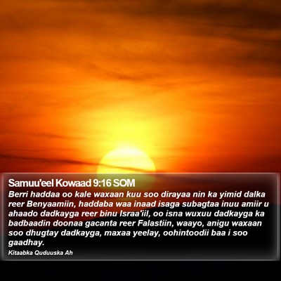 Samuu'eel Kowaad 9:16 SOM Bible Verse Image