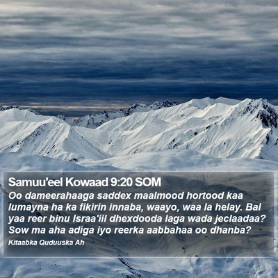 Samuu'eel Kowaad 9:20 SOM Bible Verse Image