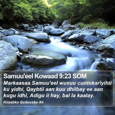 Samuu'eel Kowaad 9:23 SOM Bible Verse Image