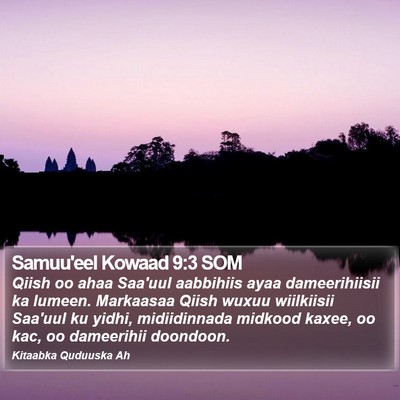 Samuu'eel Kowaad 9:3 SOM Bible Verse Image