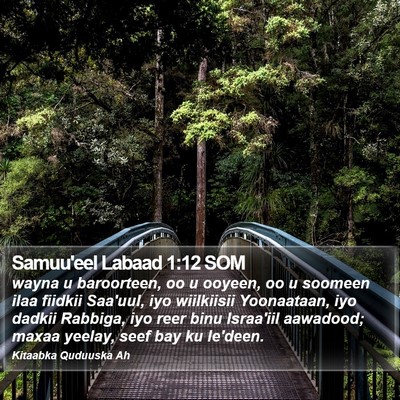Samuu'eel Labaad 1:12 SOM Bible Verse Image