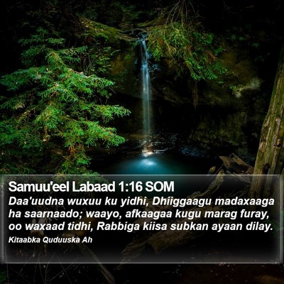 Samuu'eel Labaad 1:16 SOM Bible Verse Image