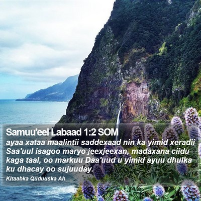 Samuu'eel Labaad 1:2 SOM Bible Verse Image