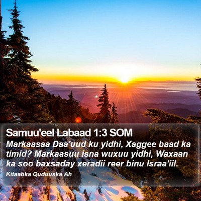 Samuu'eel Labaad 1:3 SOM Bible Verse Image