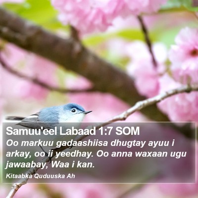 Samuu'eel Labaad 1:7 SOM Bible Verse Image