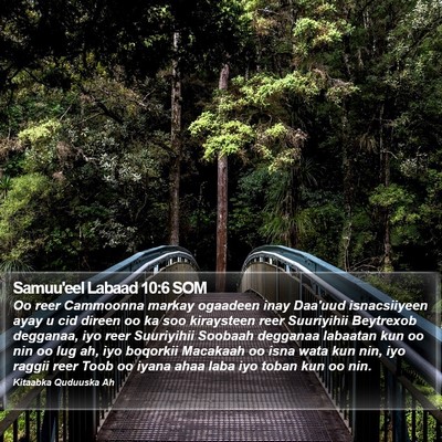 Samuu'eel Labaad 10:6 SOM Bible Verse Image