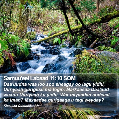 Samuu'eel Labaad 11:10 SOM Bible Verse Image