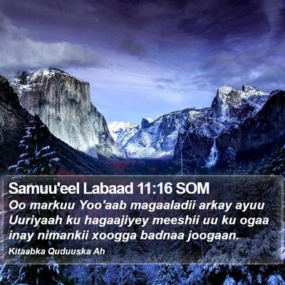 Samuu'eel Labaad 11:16 SOM Bible Verse Image
