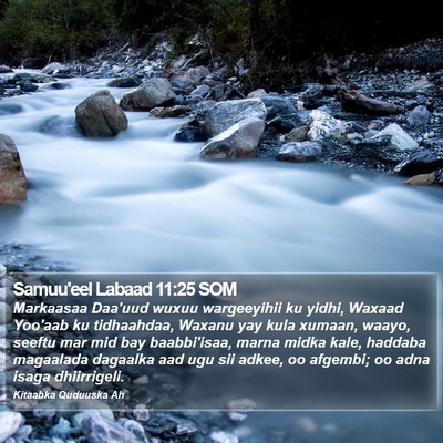 Samuu'eel Labaad 11:25 SOM Bible Verse Image