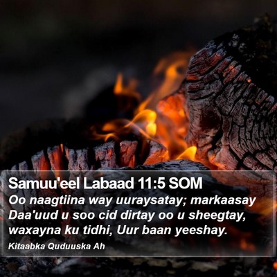 Samuu'eel Labaad 11:5 SOM Bible Verse Image