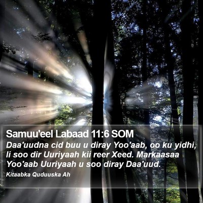 Samuu'eel Labaad 11:6 SOM Bible Verse Image