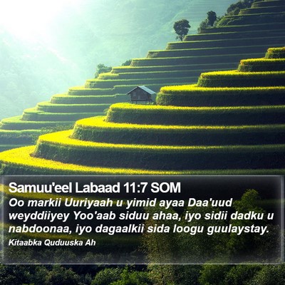 Samuu'eel Labaad 11:7 SOM Bible Verse Image
