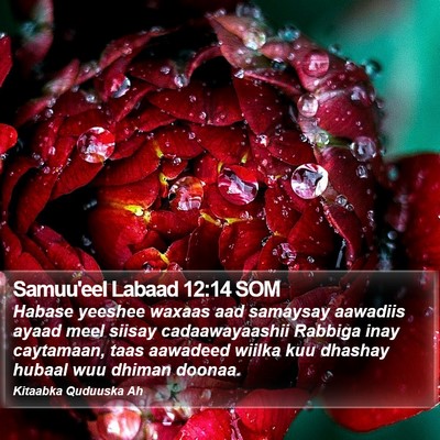 Samuu'eel Labaad 12:14 SOM Bible Verse Image