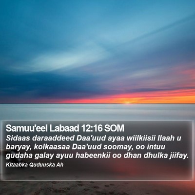 Samuu'eel Labaad 12:16 SOM Bible Verse Image