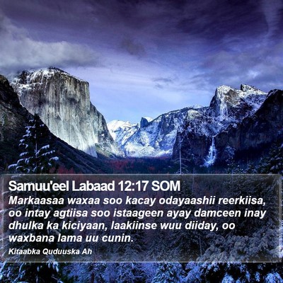 Samuu'eel Labaad 12:17 SOM Bible Verse Image