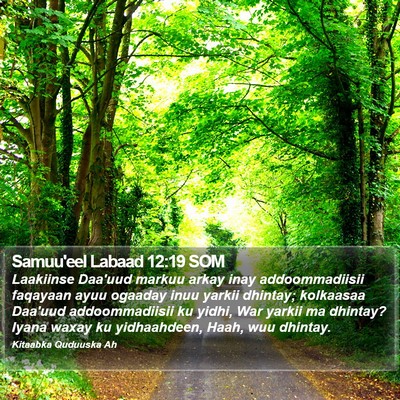 Samuu'eel Labaad 12:19 SOM Bible Verse Image