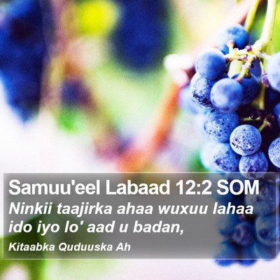 Samuu'eel Labaad 12:2 SOM Bible Verse Image