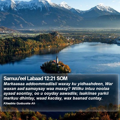 Samuu'eel Labaad 12:21 SOM Bible Verse Image