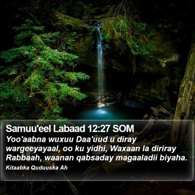 Samuu'eel Labaad 12:27 SOM Bible Verse Image