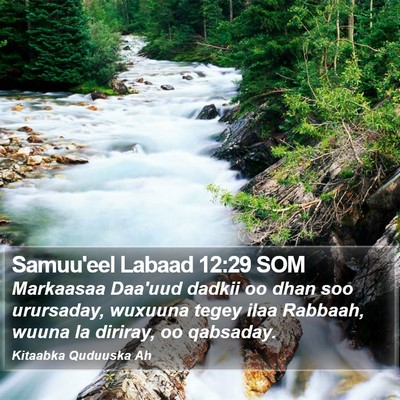 Samuu'eel Labaad 12:29 SOM Bible Verse Image