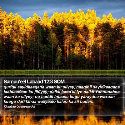 Samuu'eel Labaad 12:8 SOM Bible Verse Image